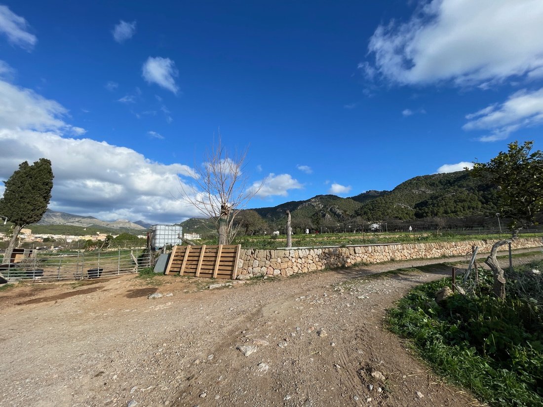 Country House in Andratx, Balearic Islands, Spain 5 - 12481809