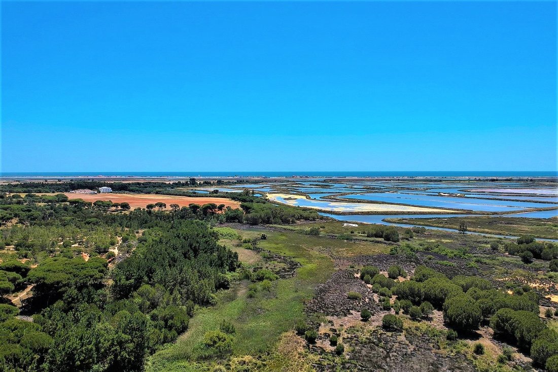 Terreno Com Ruina For Sale In Faro, Algarve, Portugal For Sale (10926595)