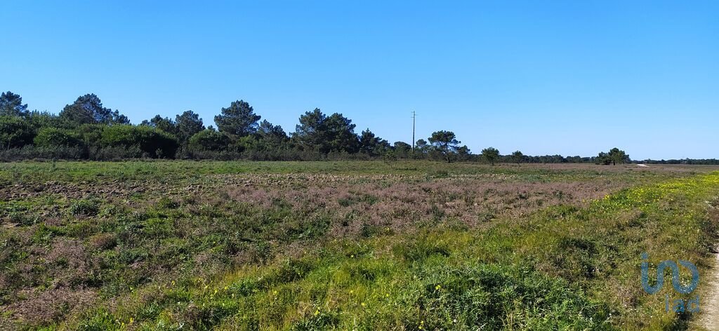 Land in Vila do Bispo e Raposeira, Algarve, Portugal 4 - 12484225