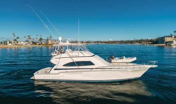 Bertram 570 (12485373)