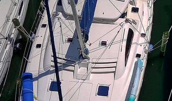 Leopard 43