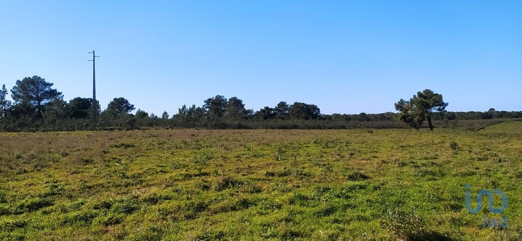 Land in Vila do Bispo e Raposeira, Algarve, Portugal 5 - 12484225