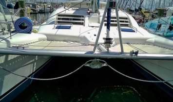 Leopard 43