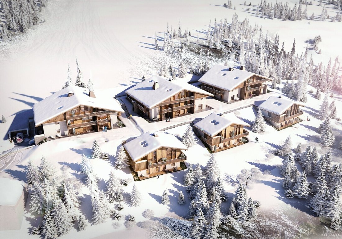 Chalet in Praz-sur-Arly, Auvergne-Rhône-Alpes, France 2 - 12487539