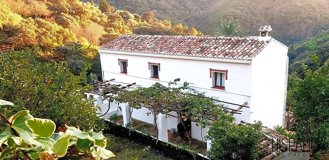 Country House in Jubrique, Andalusia, Spain 4 - 12487879