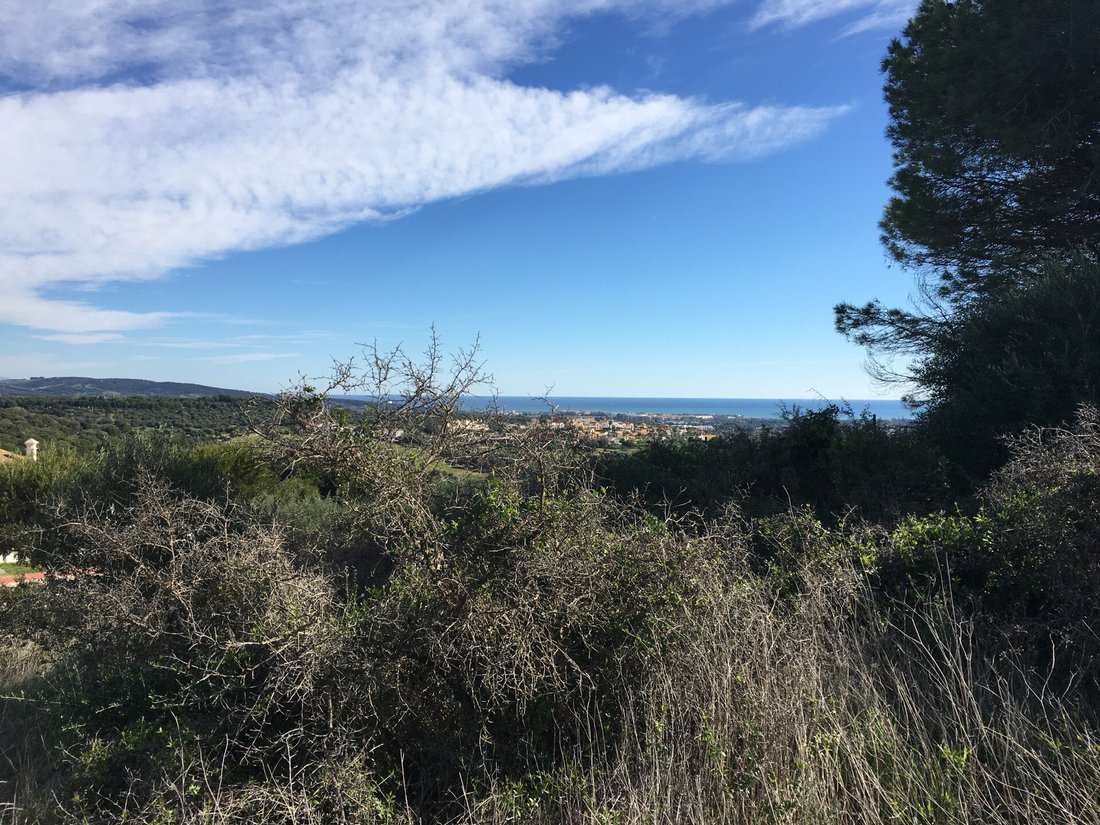 Land in Sotogrande, San Roque, Andalusia 1 - 11997269