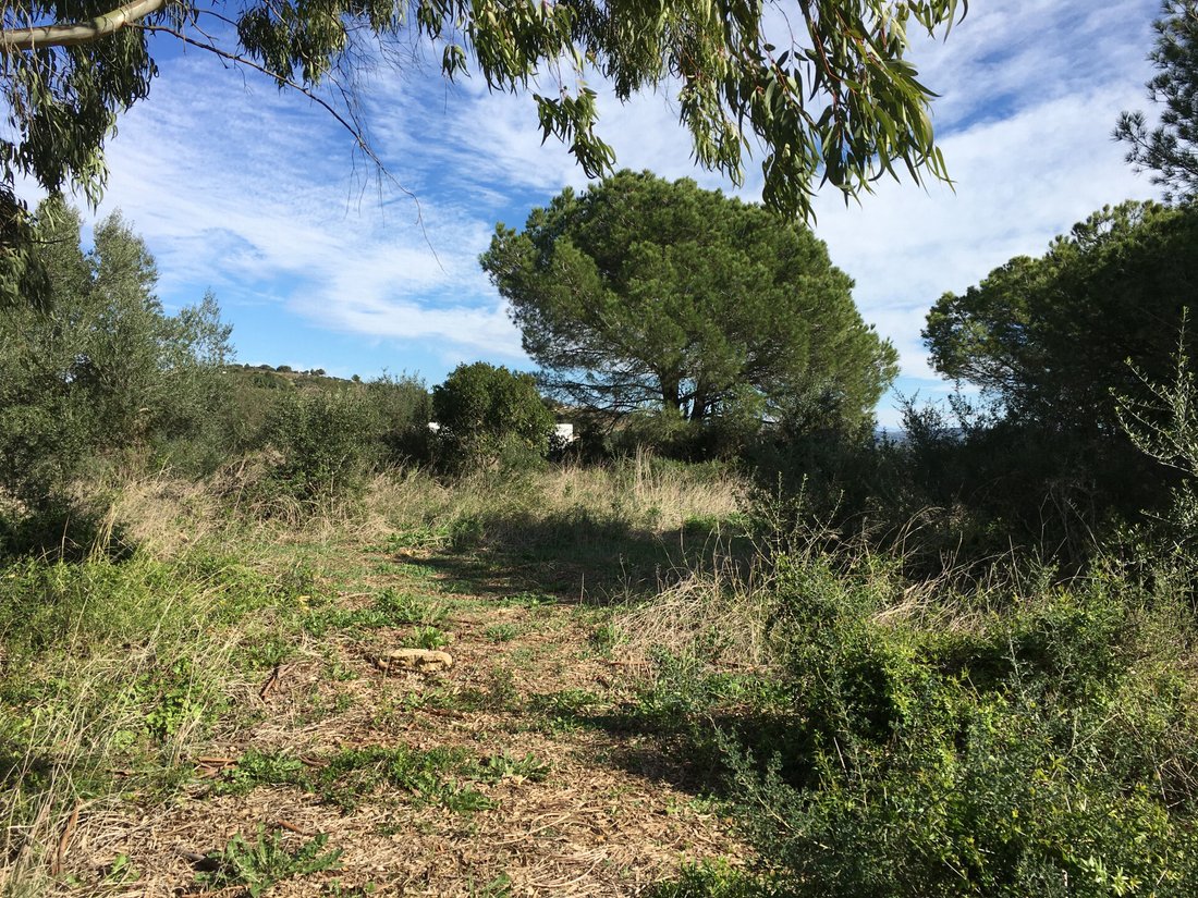 Land in Sotogrande, San Roque, Andalusia 3 - 11997269