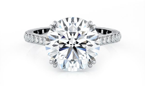 3.88 CT Round Brilliant Cut Diamond with Diamond Set Band in Platinum (12504595)