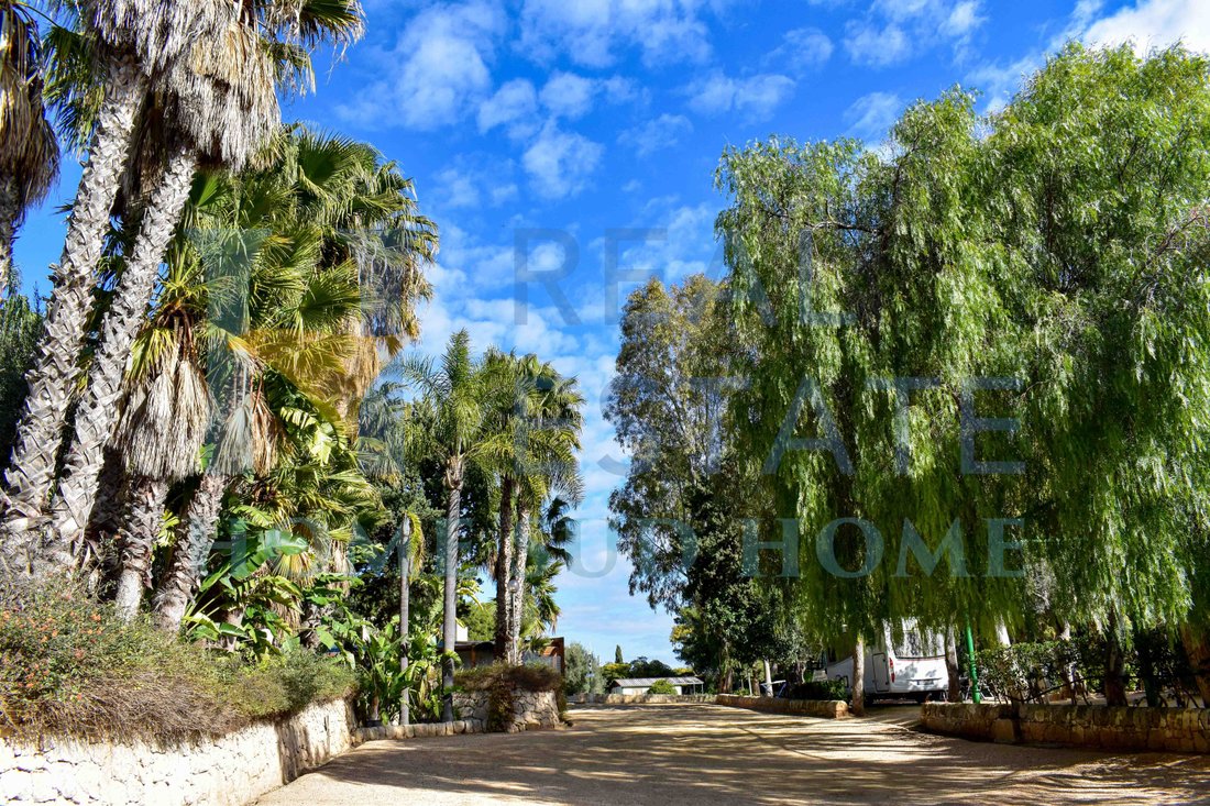 Orto Botanico Marino Hsh 1553 2022 In Avola, Sicily, Italy For Sale (12506343)