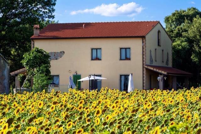 Ribolla, Tuscany, Italy 4 - 12511504