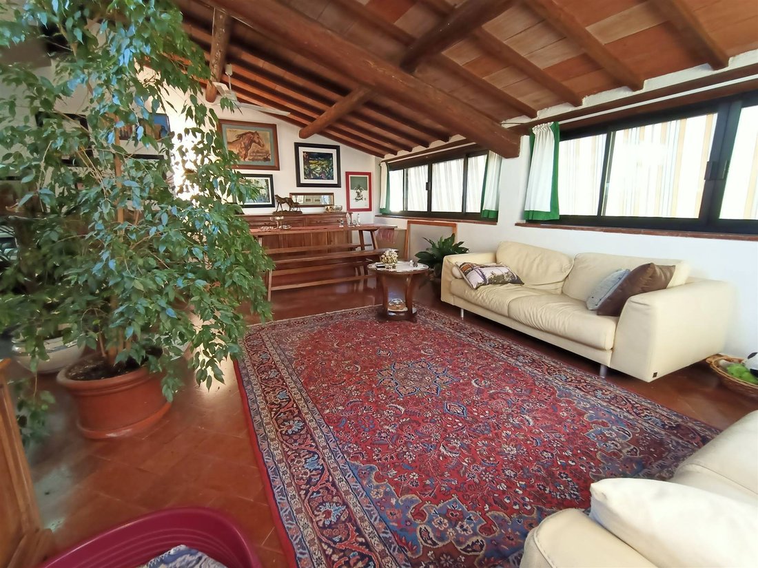 Apartment in Cittadella - Pace, Grosseto, Tuscany 1 - 12511323