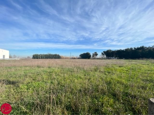 Land in Longiano, Emilia-Romagna, Italy 5 - 12513741