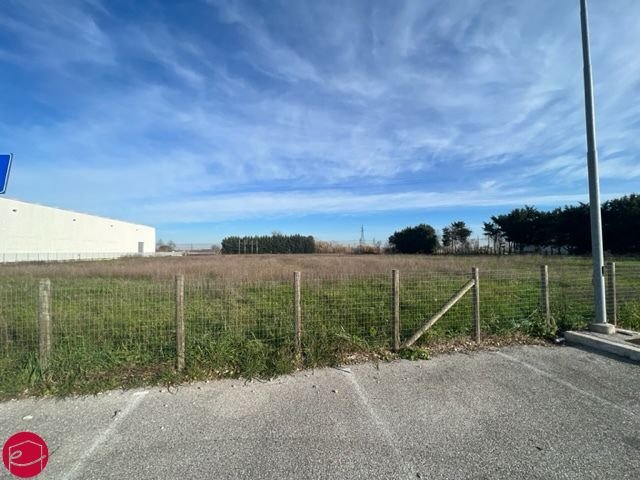Land in Longiano, Emilia-Romagna, Italy 1 - 12513741