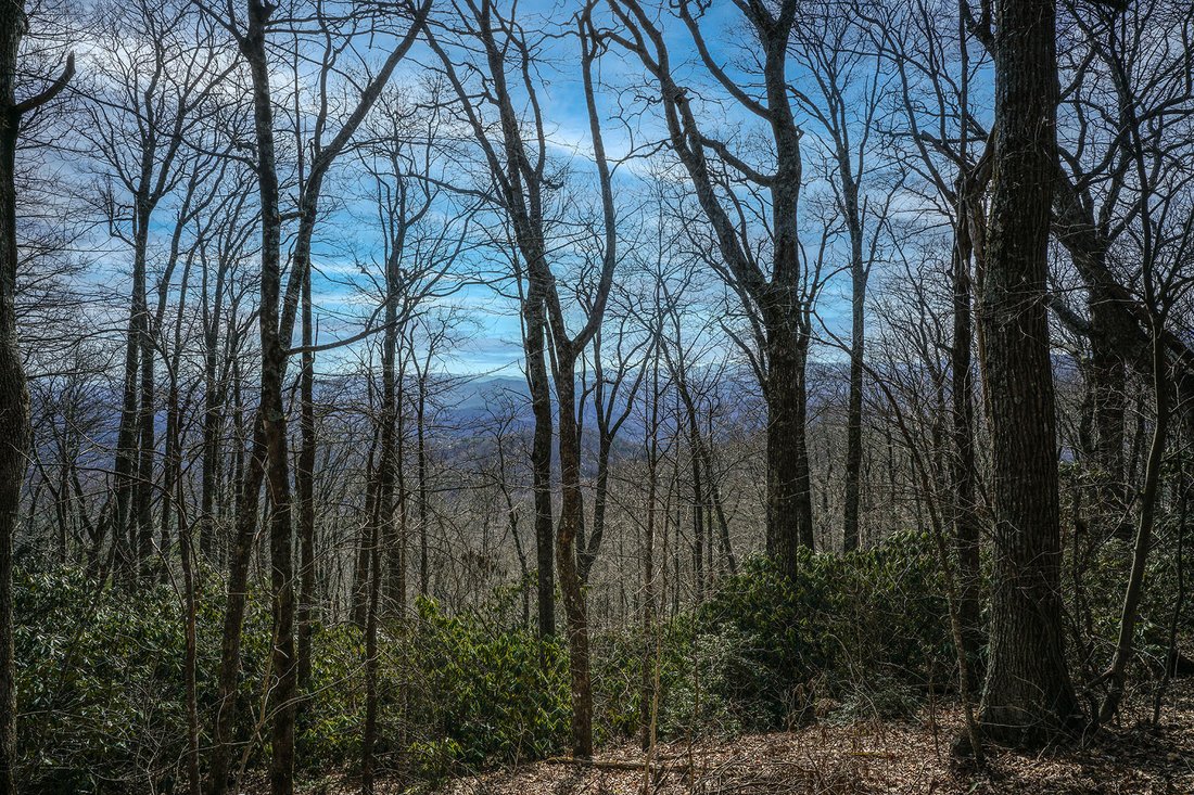 The Orchard Of Mayview Blowing In Blowing Rock, North Carolina, United