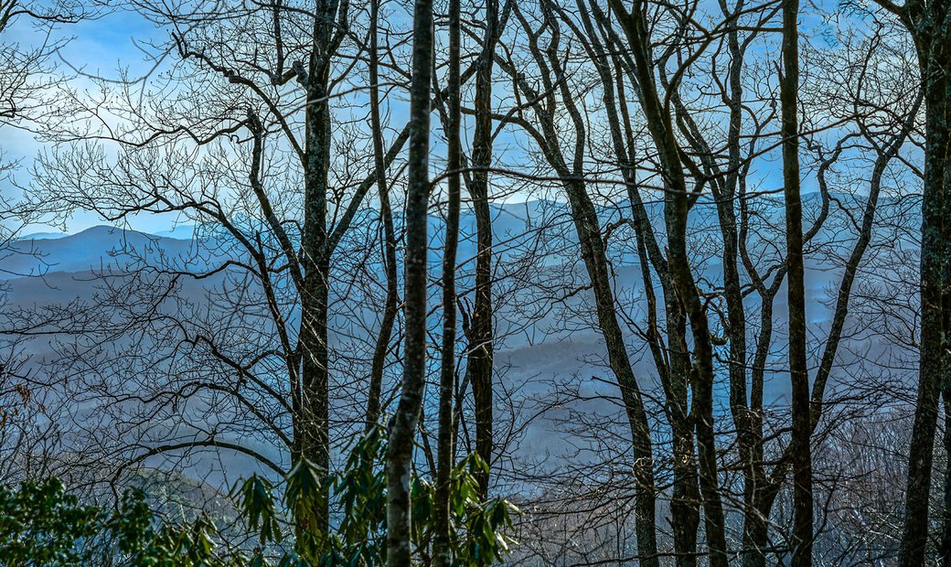 The Orchard Of Mayview Blowing In Blowing Rock, North Carolina, United