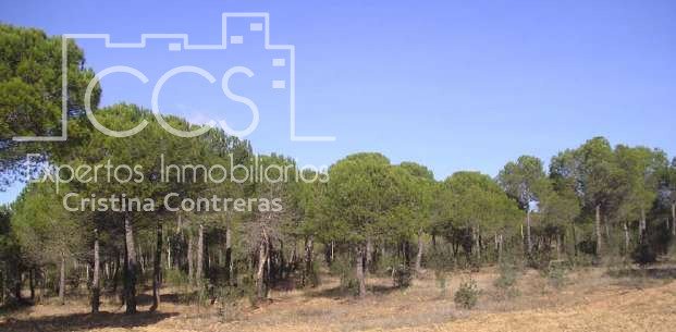 Villa in Cabezas Rubias, Andalusia, Spain 1 - 10863607