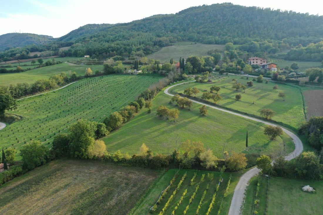 Farm Ranch in Città di Castello, Umbria, Italy 5 - 12522702