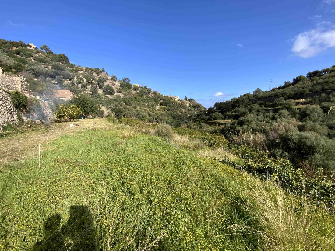 Land in Deia, Balearic Islands, Spain 5 - 11754658