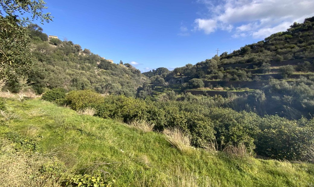 Deià Land In Deià, Balearic Islands, Spain For Sale (11904253)