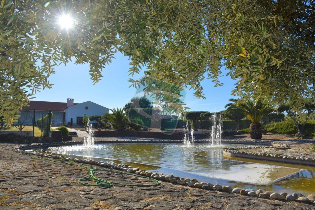 Farm Ranch in Vila Cha de Ourique, Santarem District, Portugal 5 - 12527178
