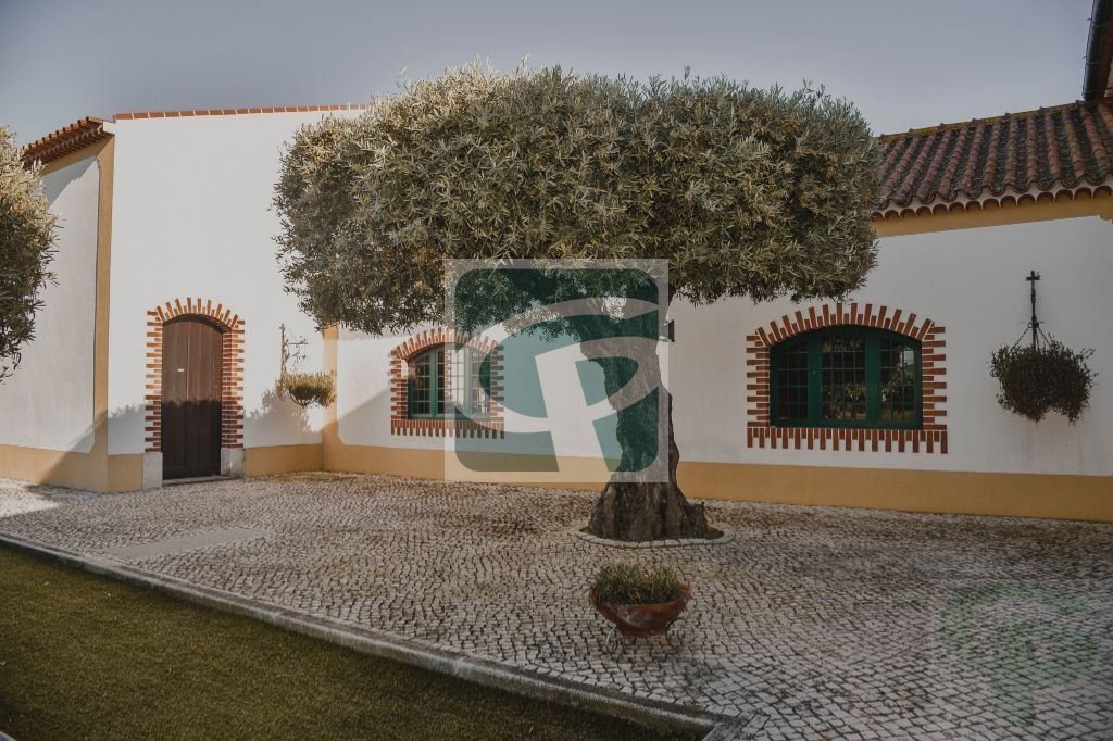Farm Ranch in Vila Cha de Ourique, Santarem District, Portugal 1 - 12527178