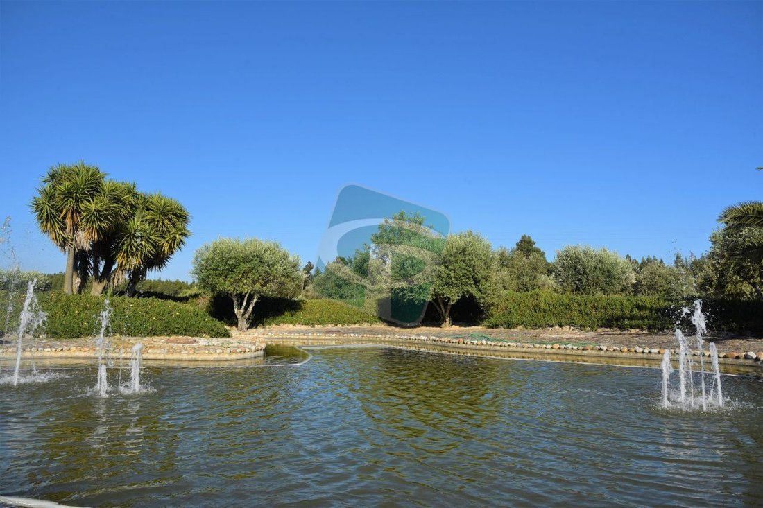 Farm Ranch in Vila Cha de Ourique, Santarem District, Portugal 2 - 12527178