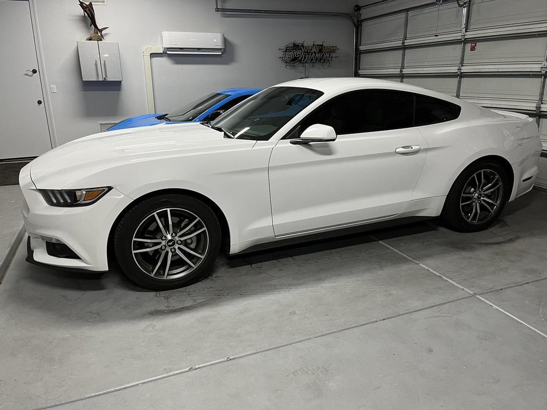 2017 Ford Mustang In Tempe, Arizona, United States For Sale (12534031)