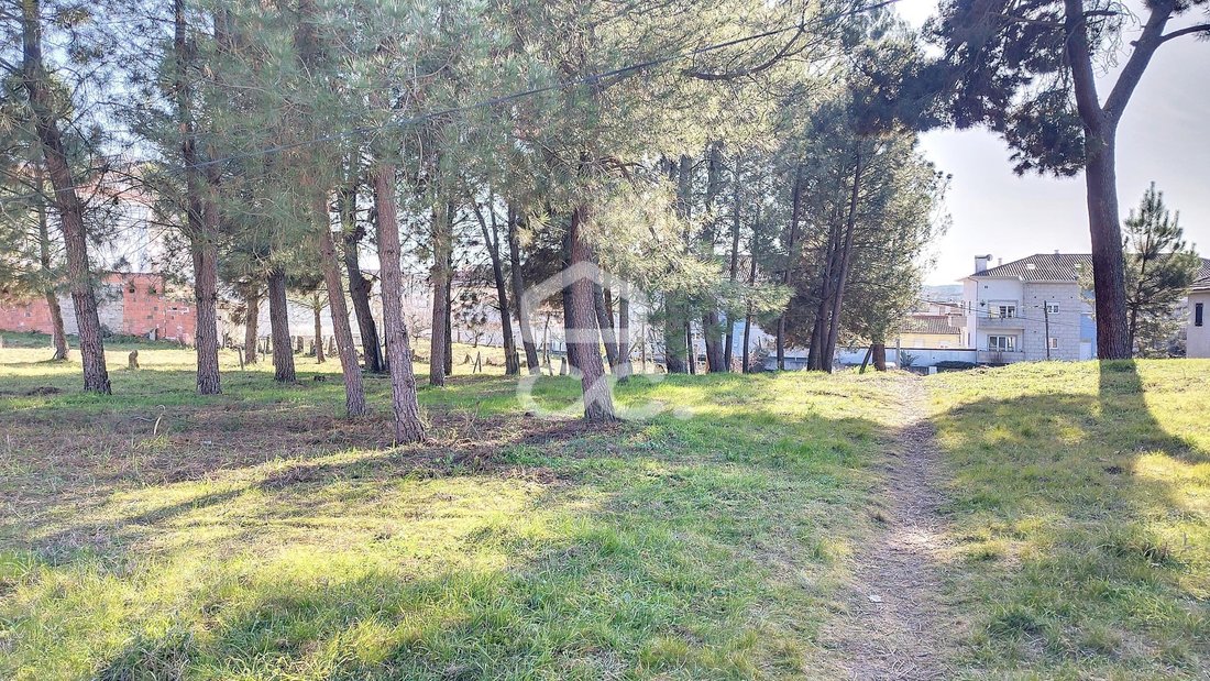 Terreno en Bustelo, Distrito de Vila Real, Portugal 5 - 12558889