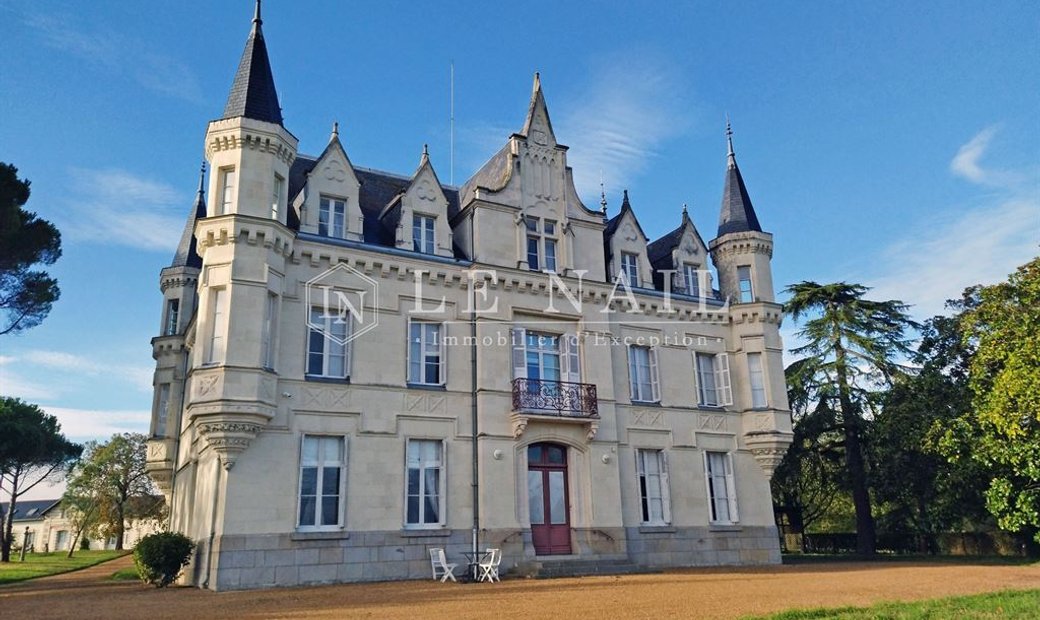 Beautiful 19th C. Chateau On The Banks Of The Loire River, 25 Minutes From Angers.