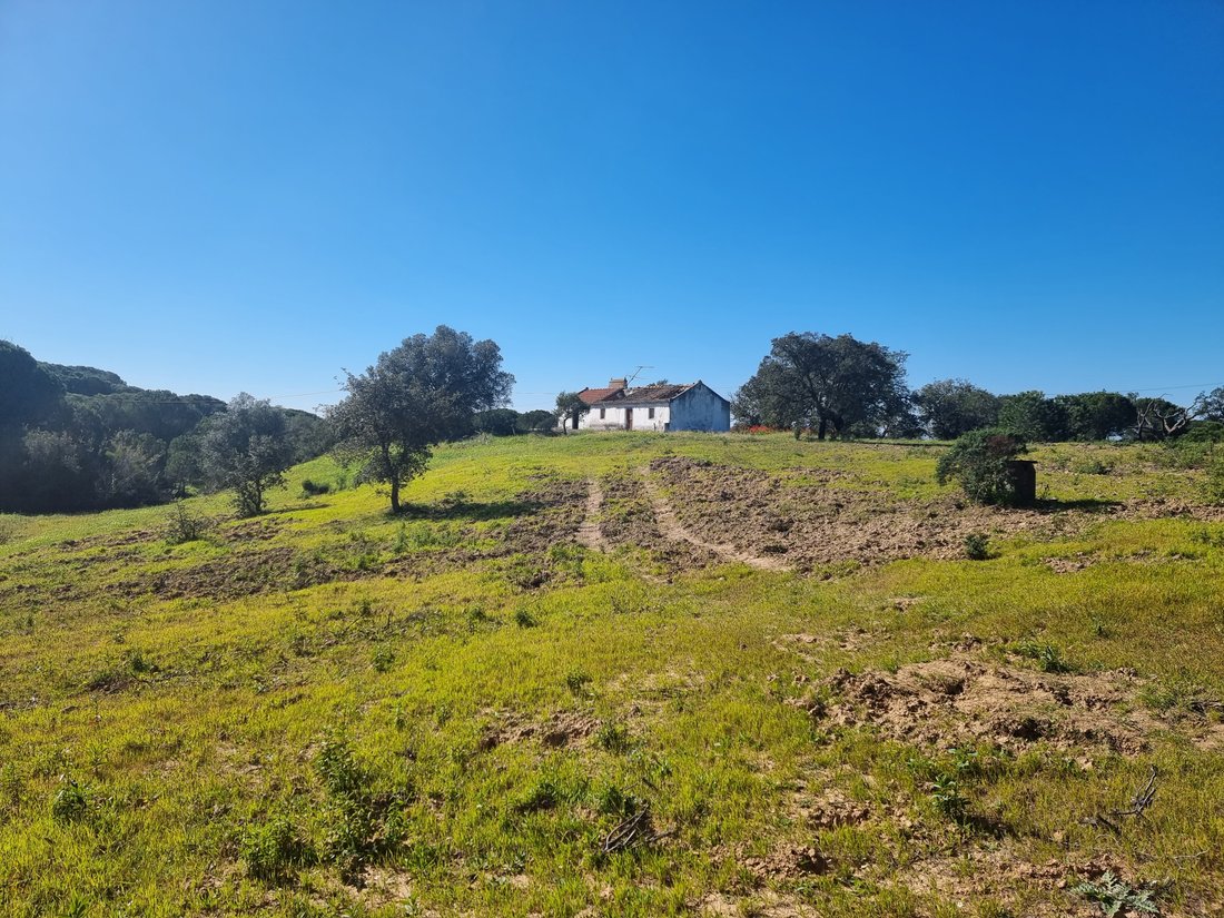 8 Hectares With Renovation Property In Melides, Setubal, Portugal For