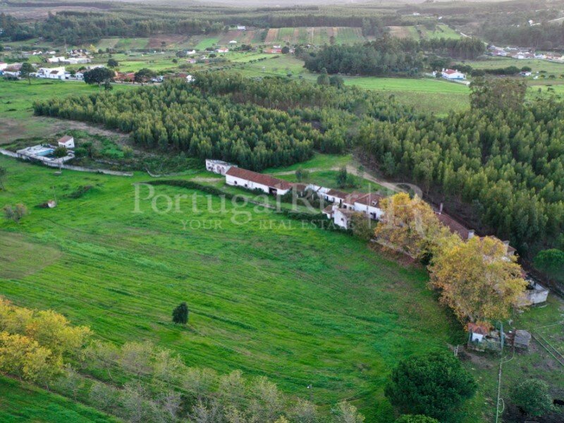 Farm Ranch in Azambuja, Lissabon, Portugal 3 - 10815916