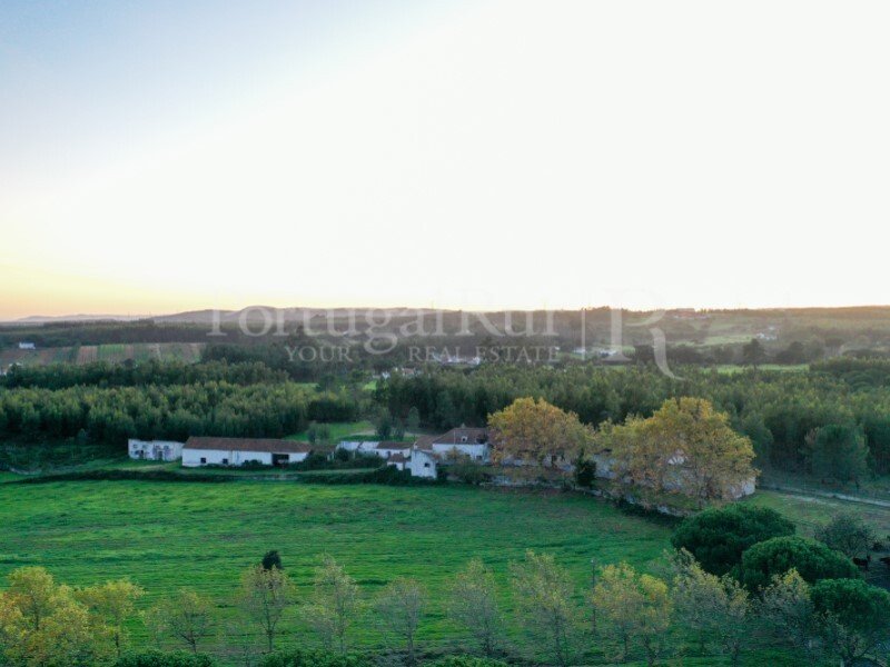 Farm Ranch in Azambuja, Lissabon, Portugal 2 - 10815916
