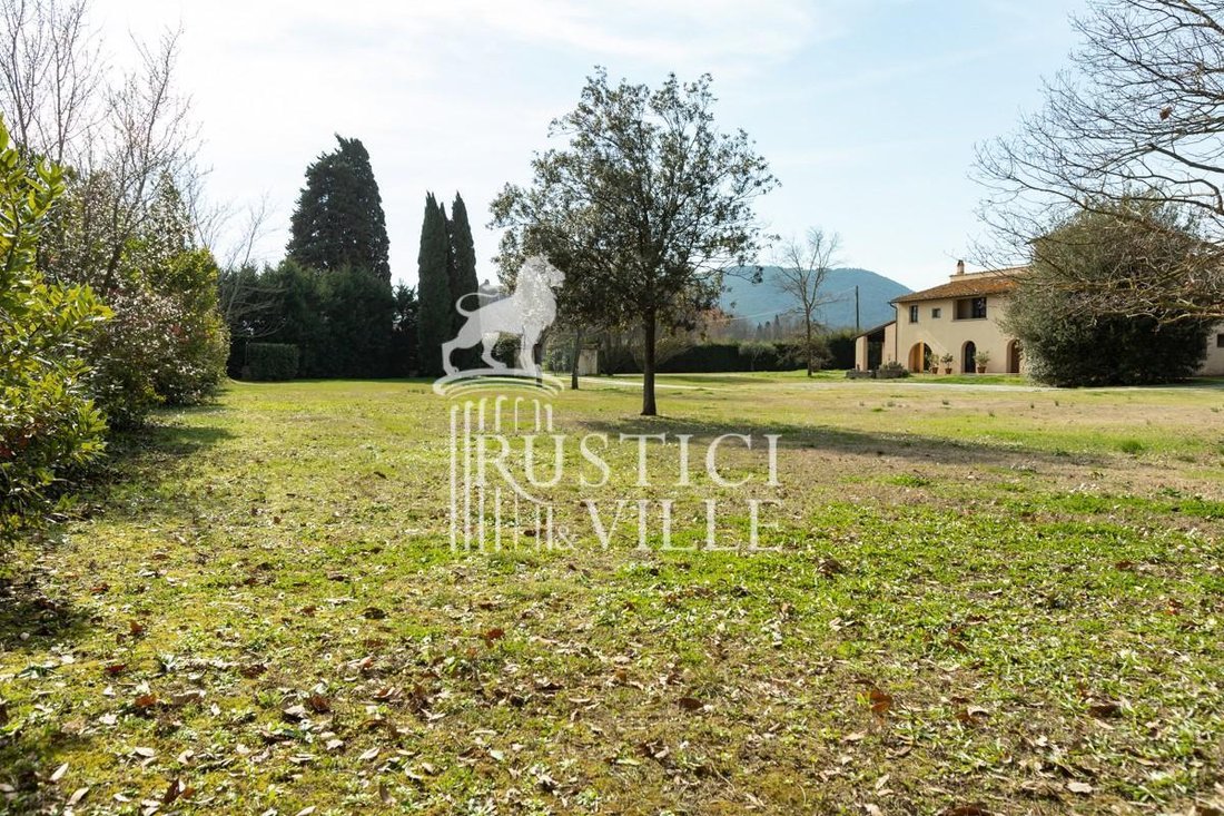Azienda agricola a Pisa, Toscana, Italia 1 - 12323380
