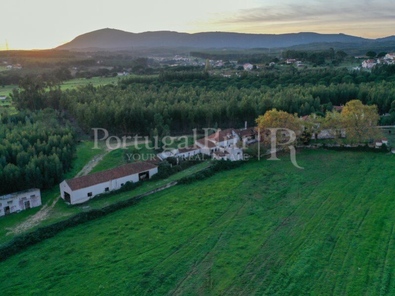 Farm Ranch in Azambuja, Lissabon, Portugal 1 - 10815916
