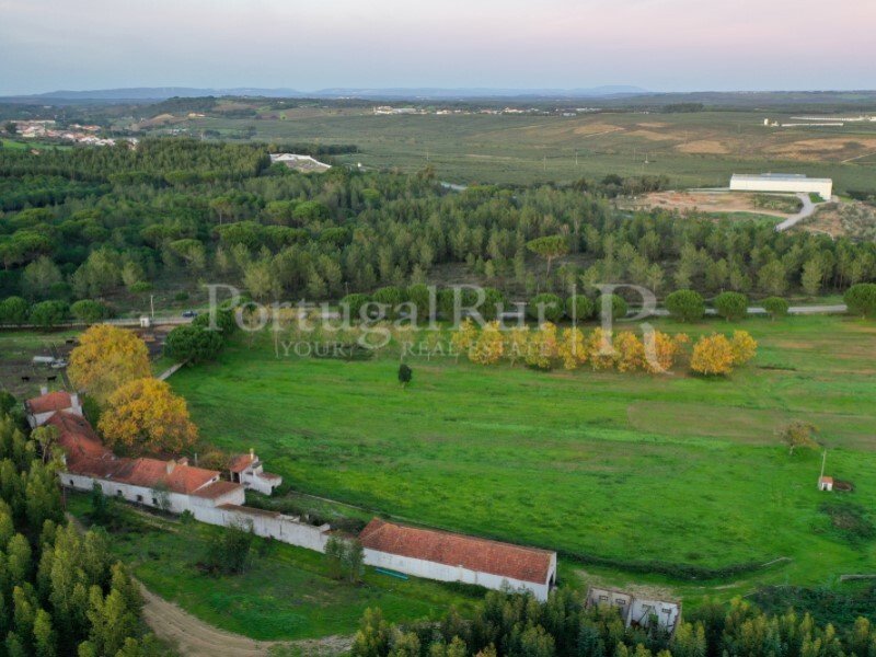 Farm Ranch in Azambuja, Lissabon, Portugal 5 - 10815916