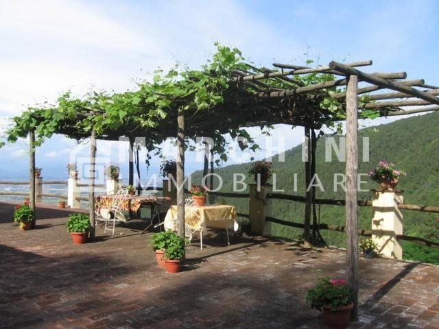 Farm Ranch in Buti, Tuscany, Italy 2 - 12364821