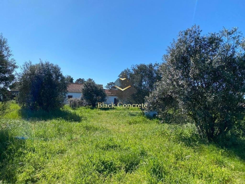 Grandola e Santa Margarida da Serra, Setubal, Portugal 5 - 12508885