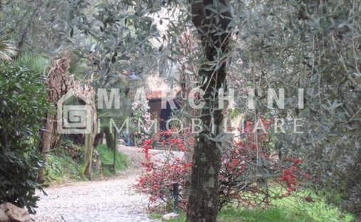 Villa in Area Monte San Quirico - Sant'Alessio, Lucca, Tuscany 1