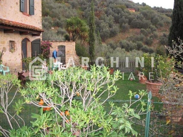 Farm Ranch in San Macario In Piano, Lucca, Tuscany 4 - 12364823