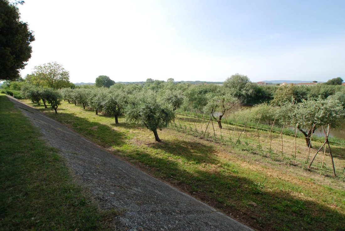Villa in Montecalvoli, Tuscany, Italy 5 - 12567305