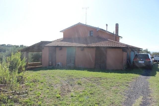 Guardistallo, Tuscany, Italy 4 - 12567787