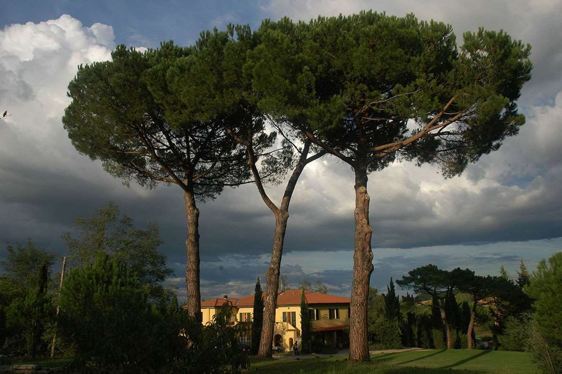 Villa in Fauglia, Tuscany, Italy 2 - 12566942