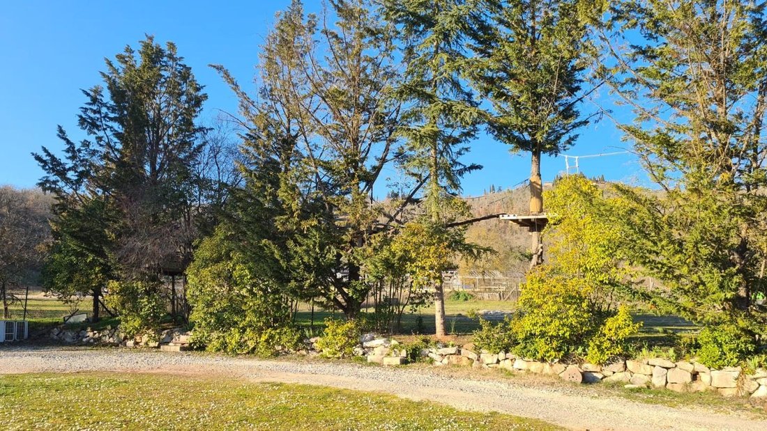 Villa in Gaiole in Chianti, Tuscany, Italy 4 - 12567904