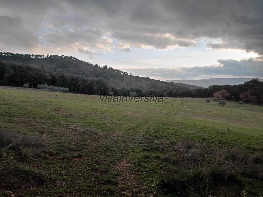 Casole d'Elsa, Tuscany, Italy 1 - 12567386