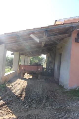 Guardistallo, Tuscany, Italy 5 - 12567787