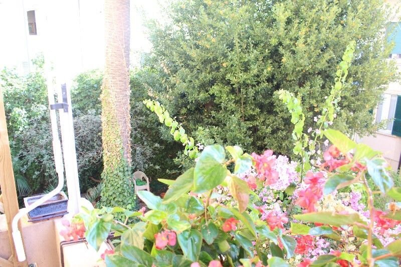Apartment in Historic Center, La Spezia, Italy 3 - 12568509