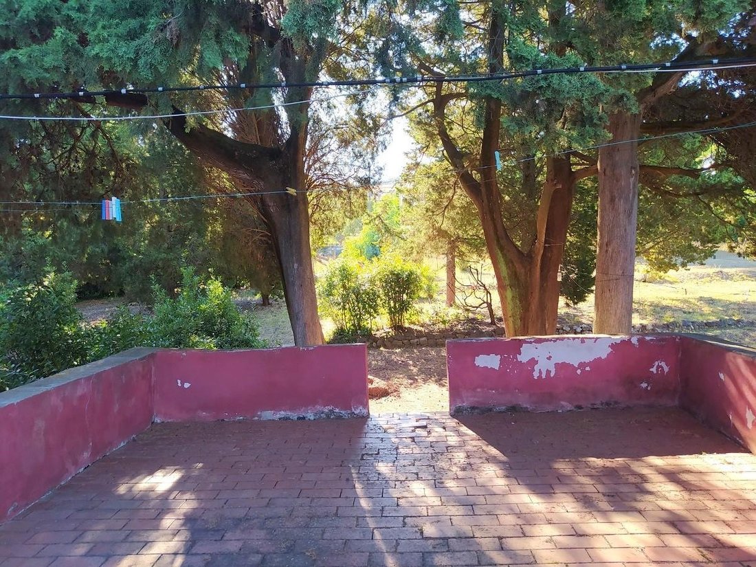 Villa in Montenero, Livorno, Tuscany 4 - 12567219