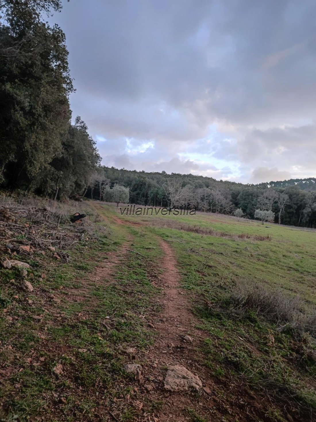 Colle di Val d'Elsa, Tuscany, Italy 4 - 12567329