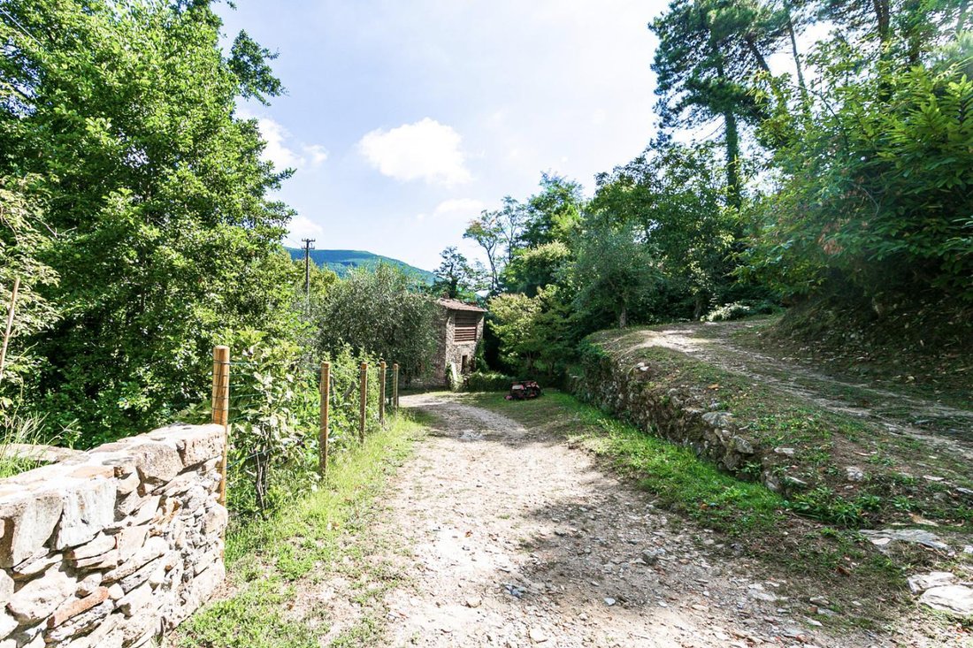 Buti, Tuscany, Italy 5 - 12567010