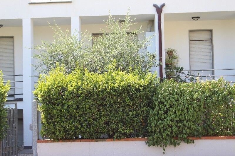 Apartment in Pegazzano - Costa di Murlo - Buggi, La Spezia, Liguria 3 - 12568399